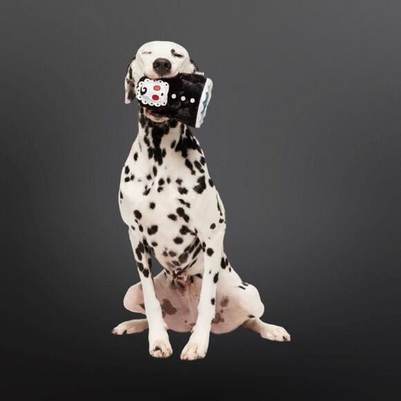 NEW Bark Box Plush Goodbye Dolly Plush 2 in 1 Spiky Ball Toy Size Small - Picture 6 of 6